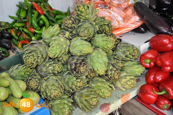 markaz khodare 3 (17).JPG